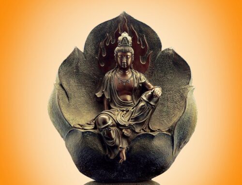 De Trap: met zenleraar (sensei) Cees Swinkels