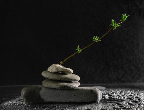 Zen introductie (twee vrijdagmiddagen)